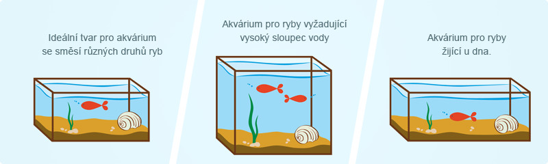 Tvar akvária